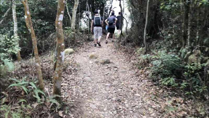 台湾台中の頭嵙山大坑歩道第5号石ころも多い坂道
