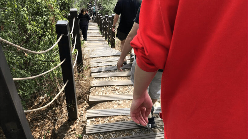 台湾台中の頭嵙山大坑歩道第5号の階段
