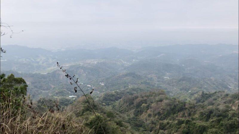 台湾台中の頭嵙山大坑歩道第5号の頂上付近からの眺め